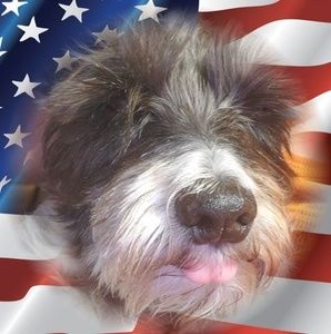 Meet your Posher, Ericcindy